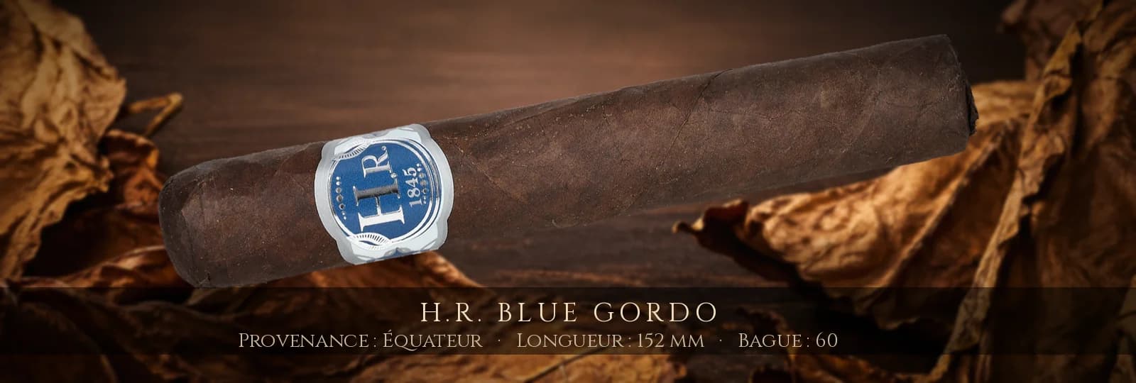 H.R. Blue Gordo — H.R. — Équateur