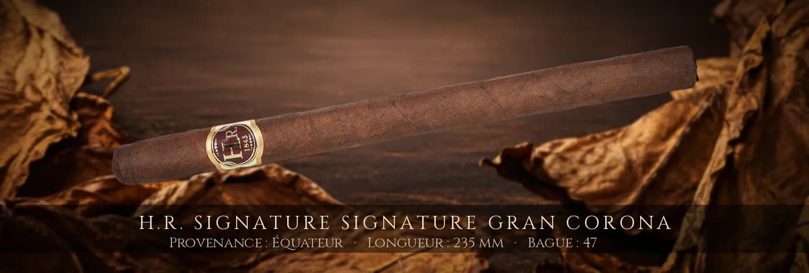 H.R. Signature Signature Gran Corona — H.R. — Équateur