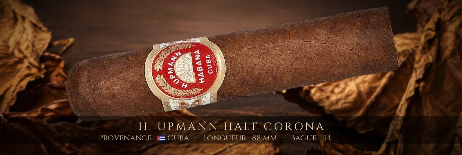 H. Upmann Half Corona — H. Upmann — Cuba