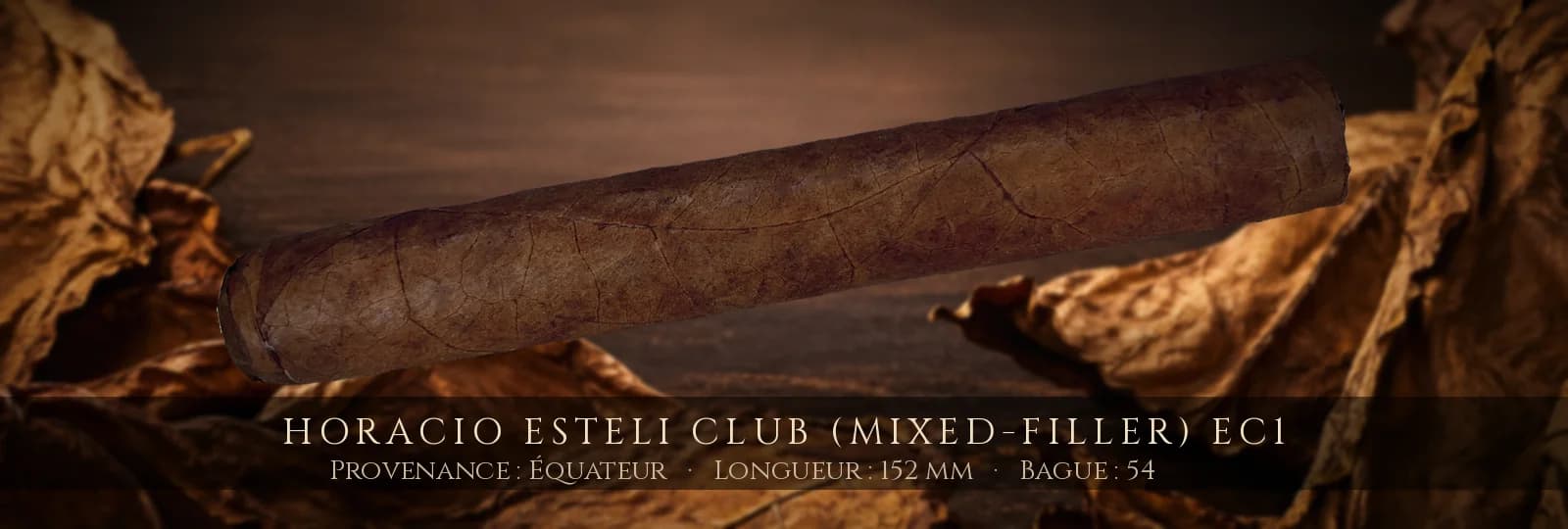 Horacio Esteli Club (Mixed-Filler) EC1 — Horacio — Équateur