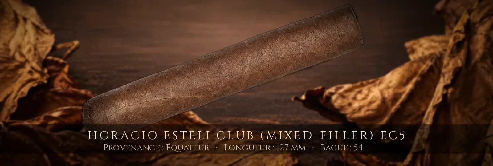 Horacio Esteli Club (Mixed-Filler) EC5 — Horacio — Équateur