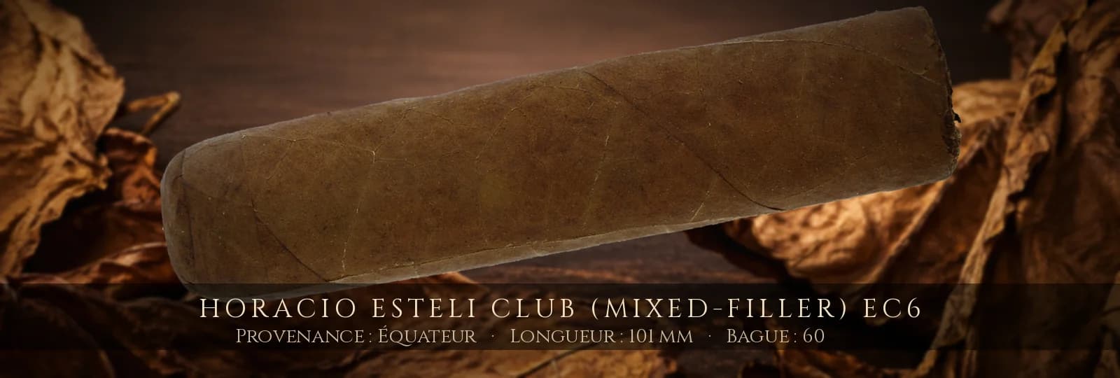 Horacio Esteli Club (Mixed-Filler) EC6 — Horacio — Équateur