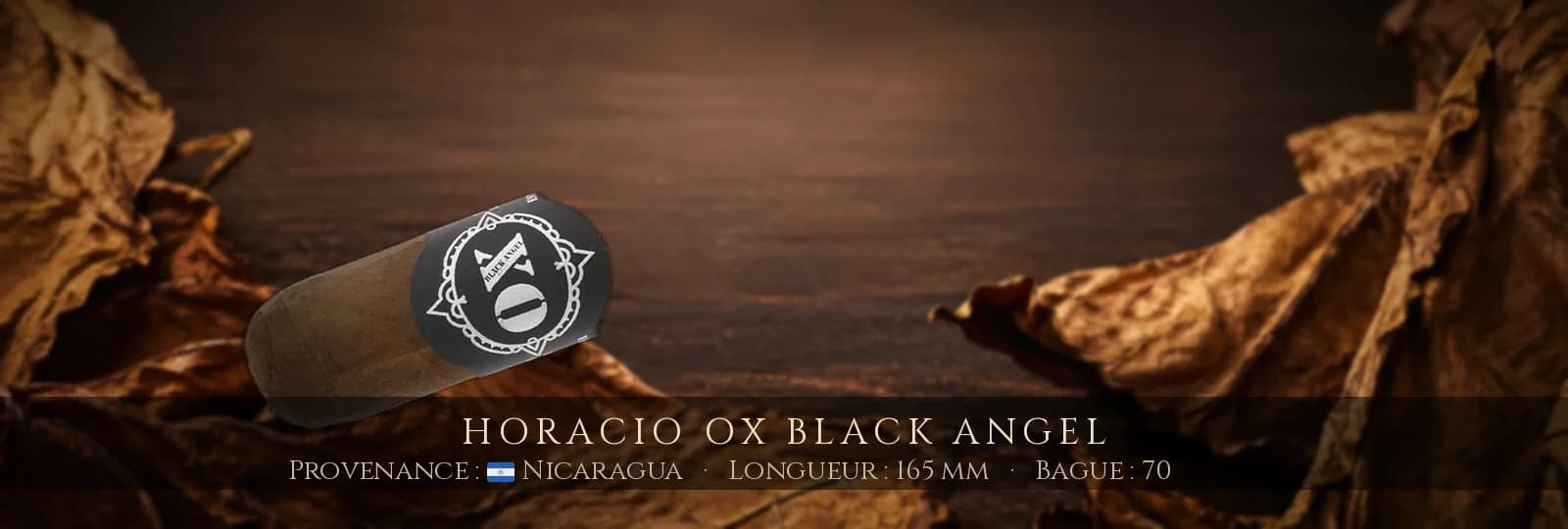 Horacio OX Black Angel — Horacio — Nicaragua