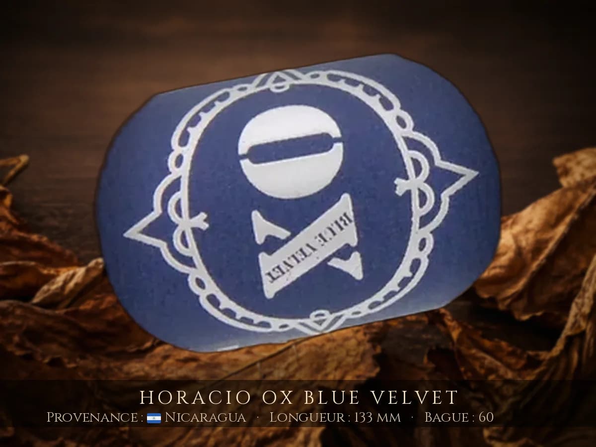 Horacio OX Blue Velvet — Horacio — Nicaragua