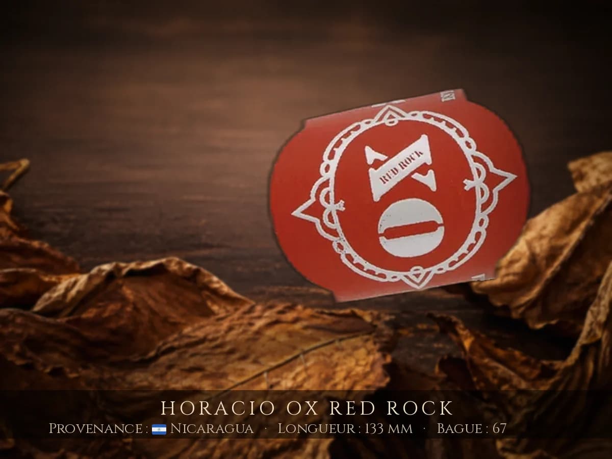 Horacio OX Red Rock — Horacio — Nicaragua