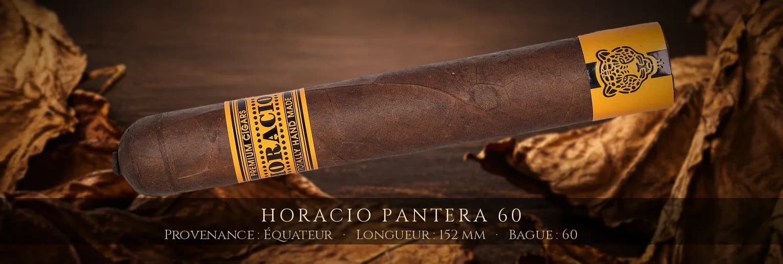 Horacio Pantera 60 — Horacio — Équateur