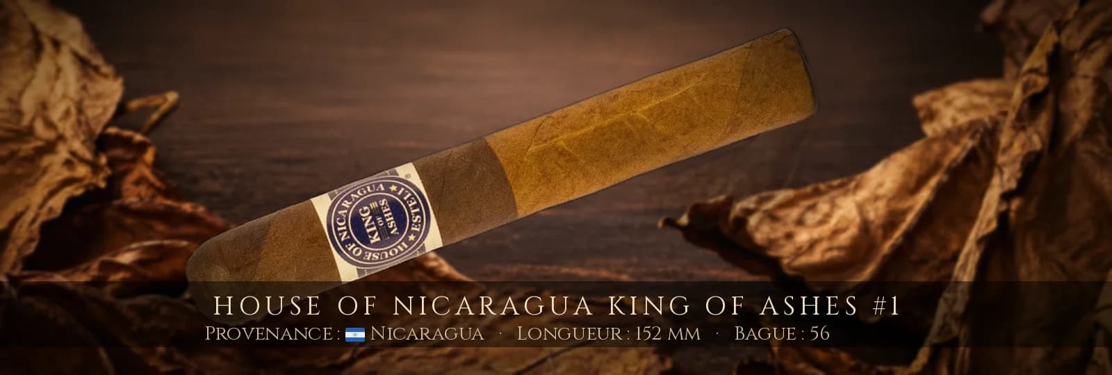 House of Nicaragua King of Ashes #1 — House of Nicaragua — Nicaragua