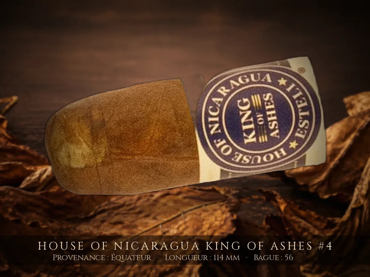 House of Nicaragua King of Ashes #4 — House of Nicaragua — Équateur