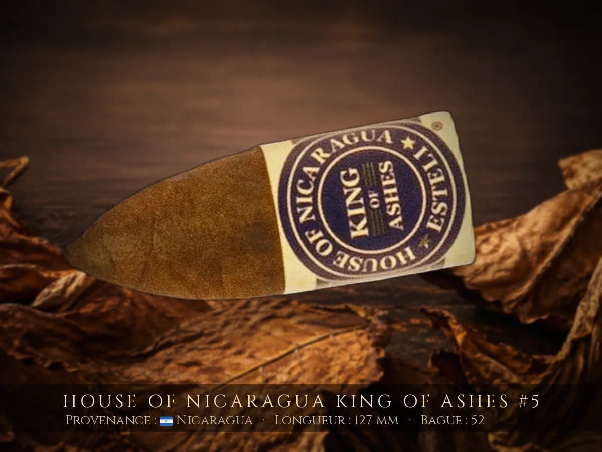 House of Nicaragua King of Ashes #5 — House of Nicaragua — Nicaragua