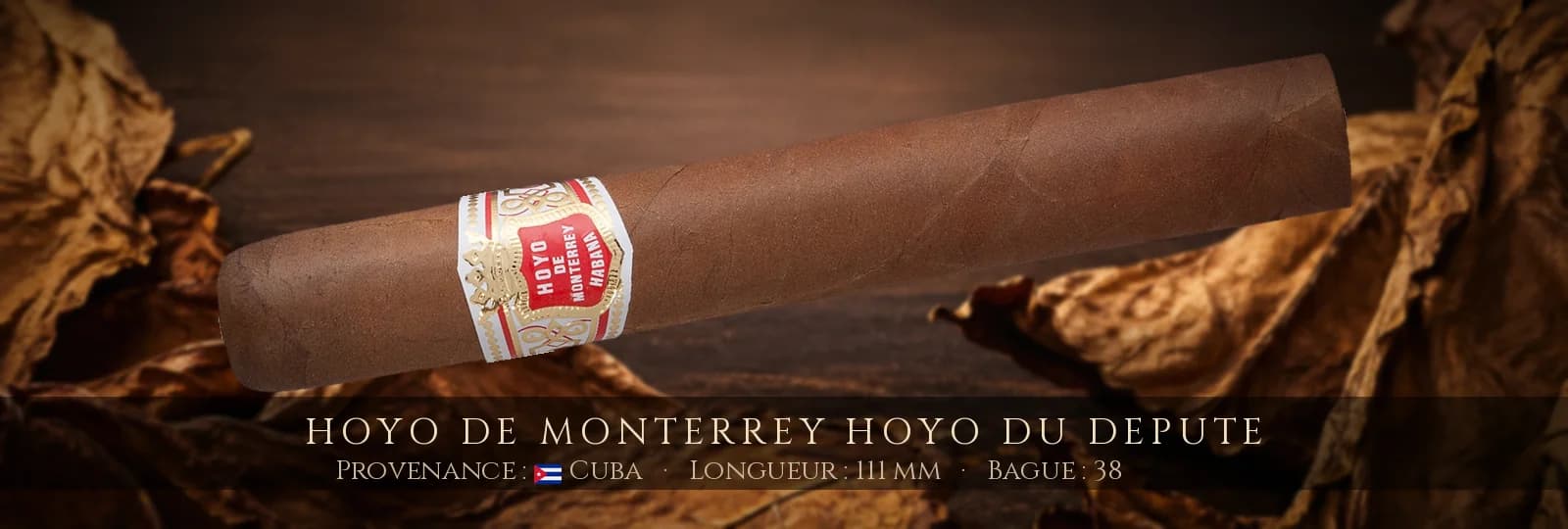 Hoyo de Monterrey Hoyo Du Depute — Hoyo de Monterrey — Cuba