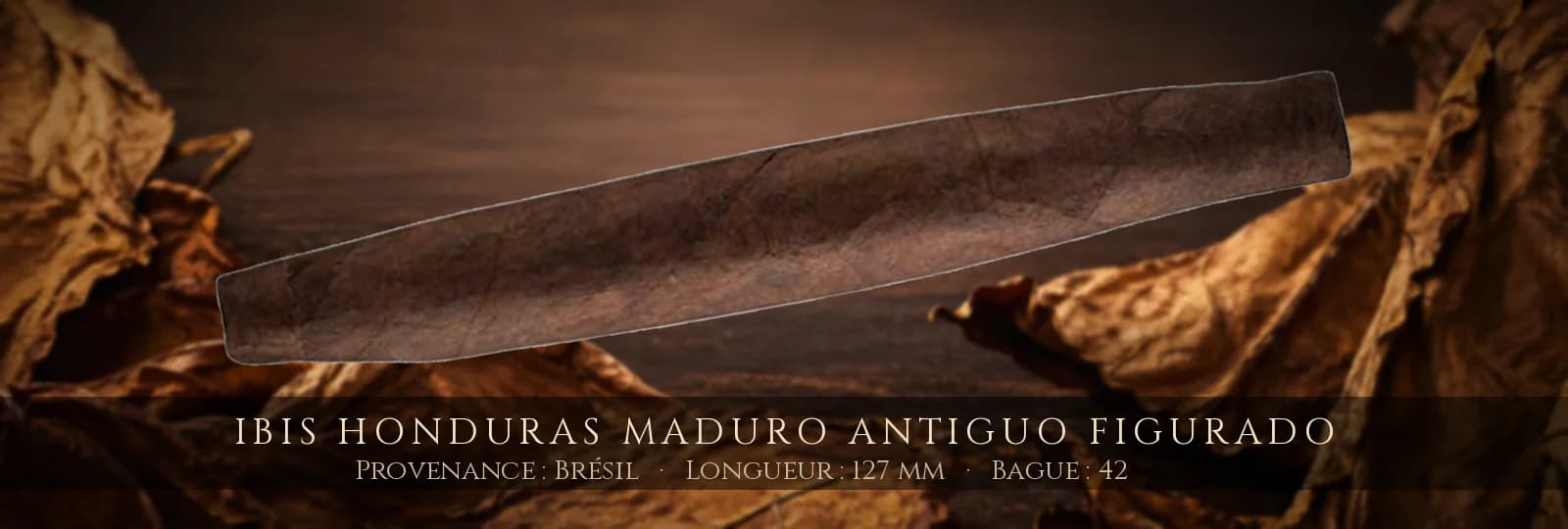 Ibis Honduras Maduro Antiguo Figurado — Ibis — Brésil