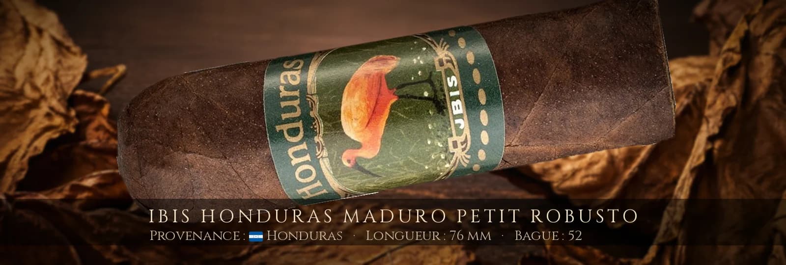 Ibis Honduras Maduro Petit Robusto — Ibis — Honduras