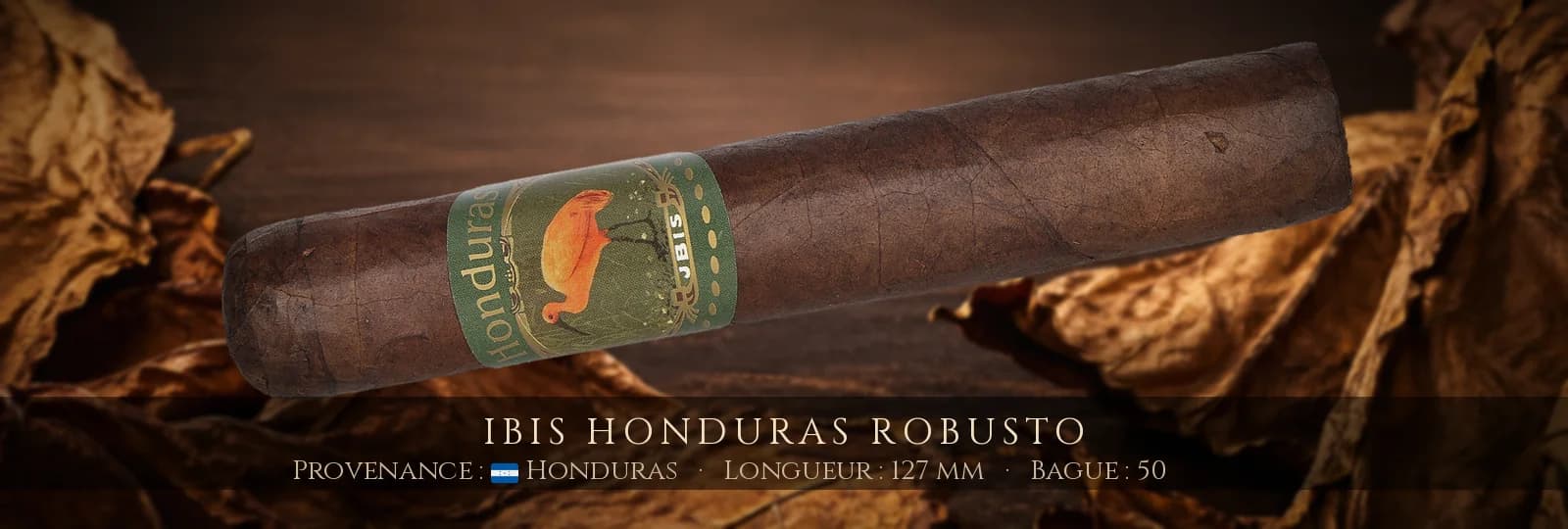 Ibis Honduras Robusto — Ibis — Honduras