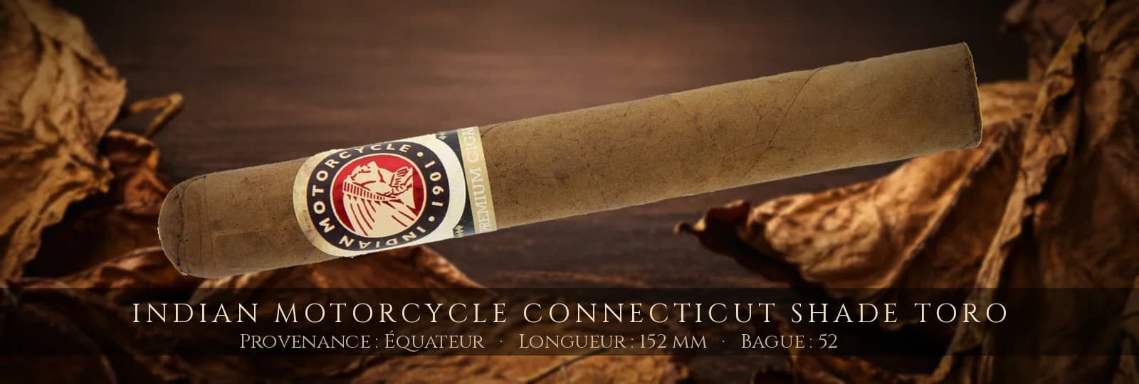 Indian Motorcycle Connecticut Shade Toro — Indian Motorcycle — Équateur