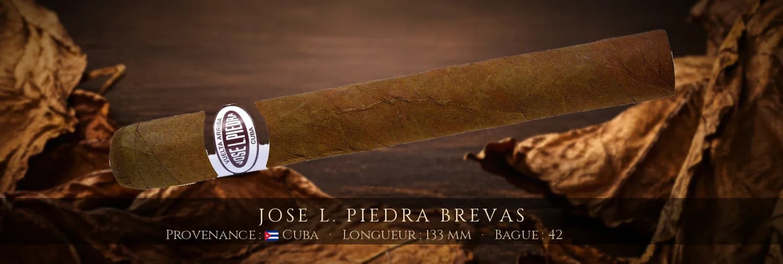 Jose L. Piedra Brevas — Jose L. Piedra — Cuba