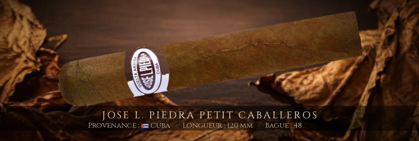 Jose L. Piedra Petit Caballeros — Jose L. Piedra — Cuba