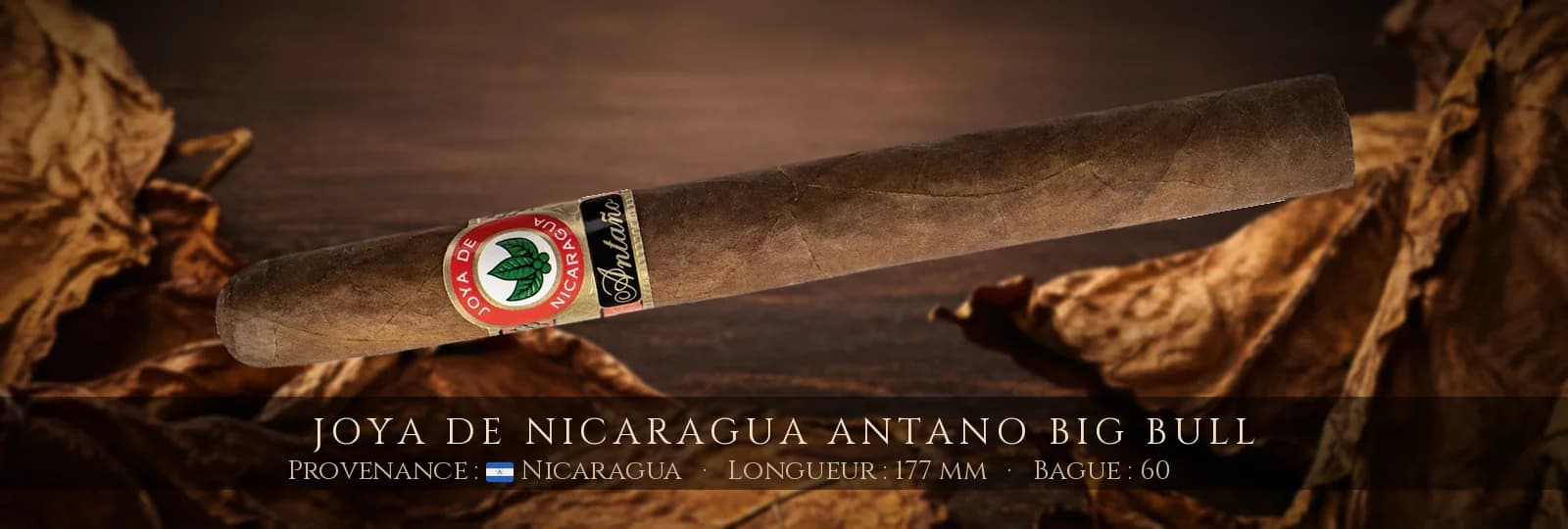 Joya de Nicaragua Antano Big Bull — Joya de Nicaragua — Nicaragua