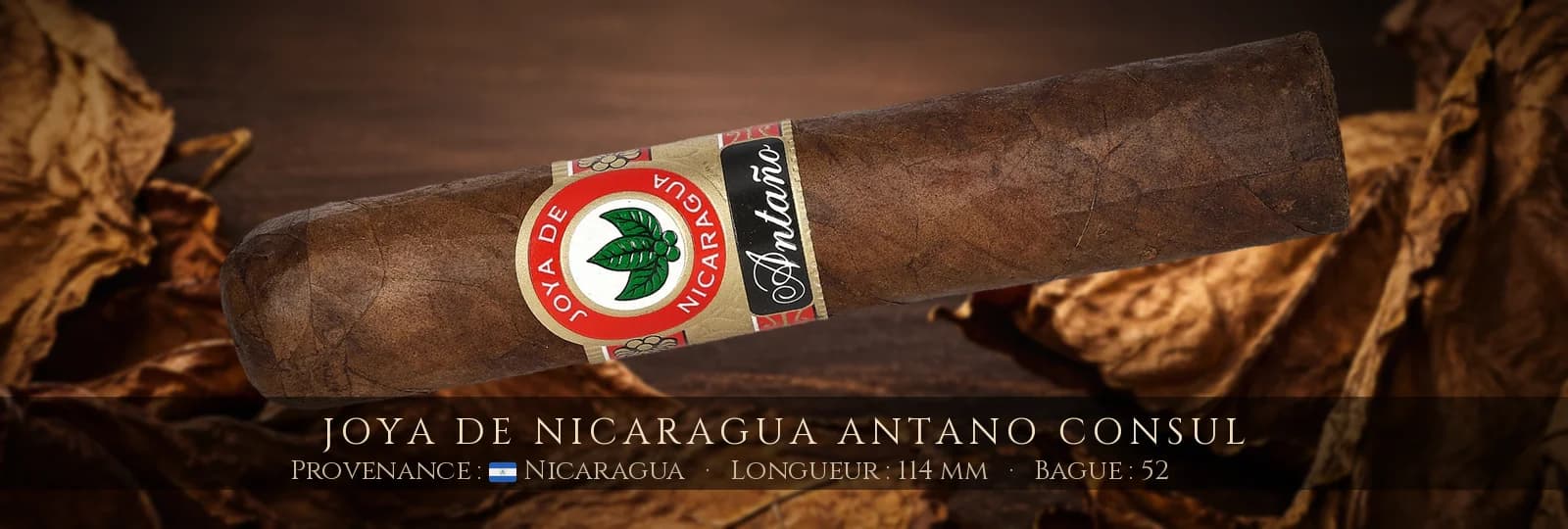 Joya de Nicaragua Antano Consul — Joya de Nicaragua — Nicaragua