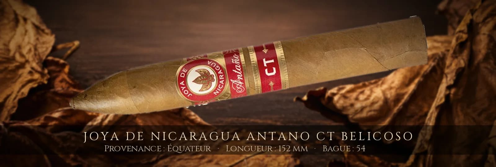 Joya de Nicaragua Antano CT Belicoso — Joya de Nicaragua — Équateur