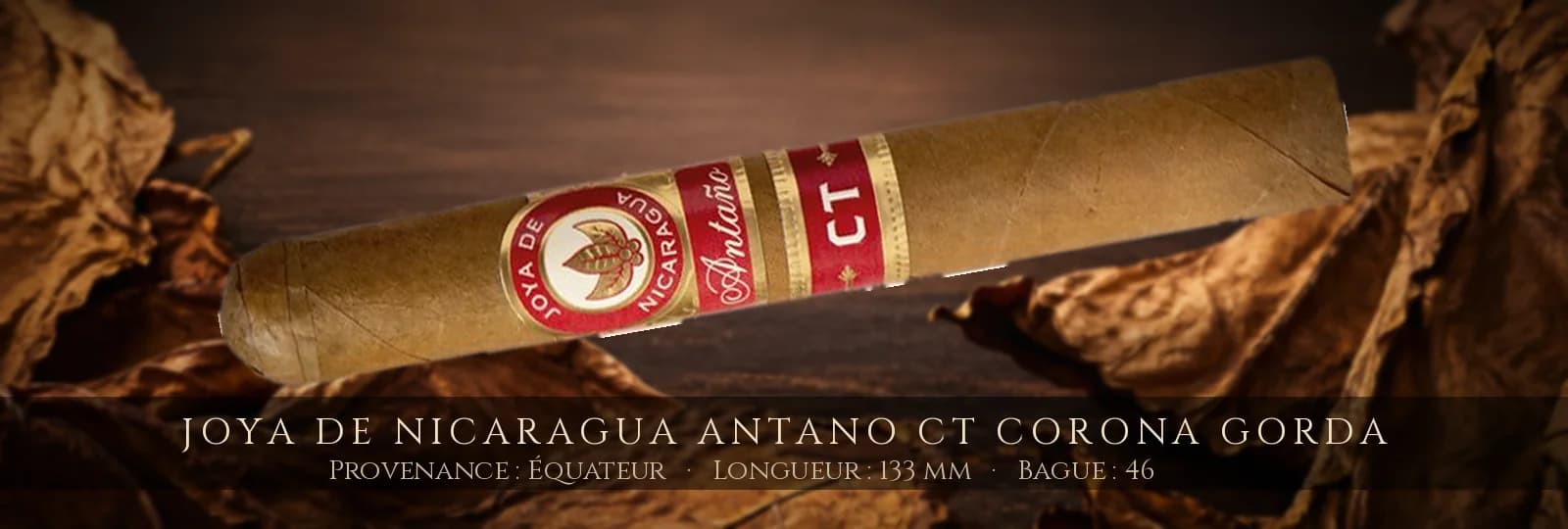 Joya de Nicaragua Antano CT Corona Gorda — Joya de Nicaragua — Équateur