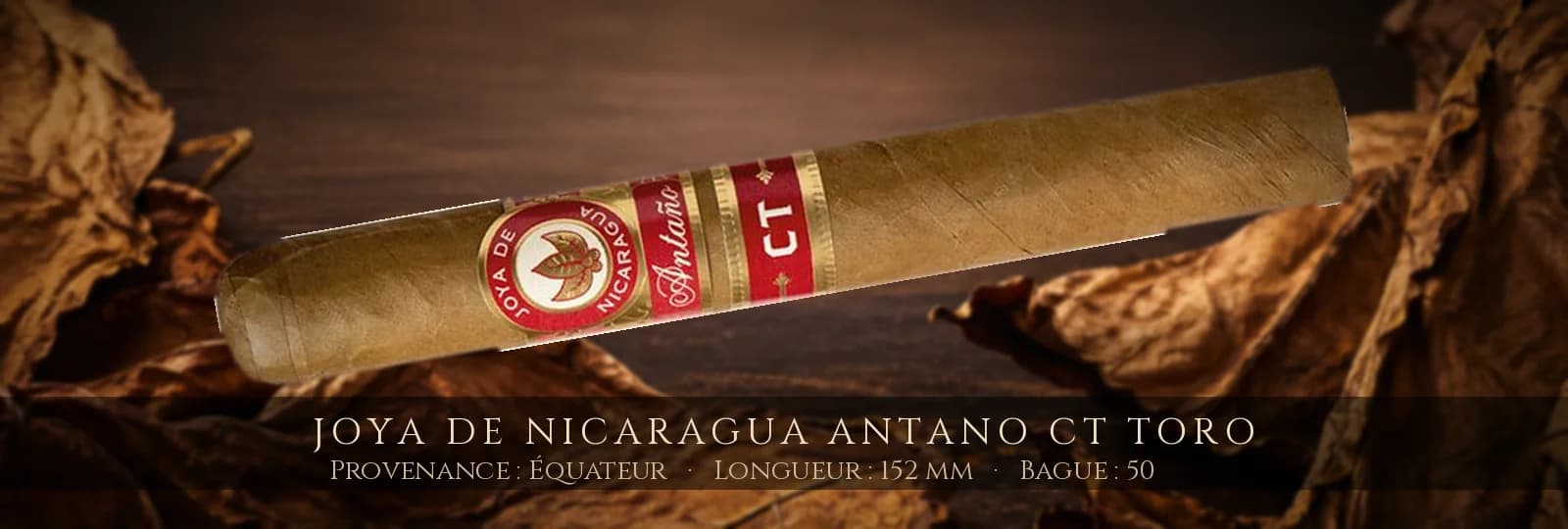 Joya de Nicaragua Antano CT Toro — Joya de Nicaragua — Équateur