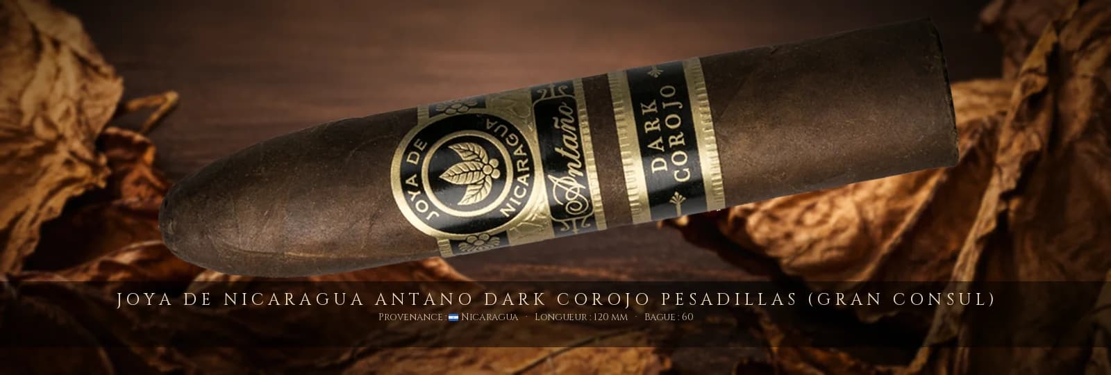 Joya de Nicaragua Antano Dark Corojo Pesadillas (Gran Consul) — Joya de Nicaragua — Nicaragua