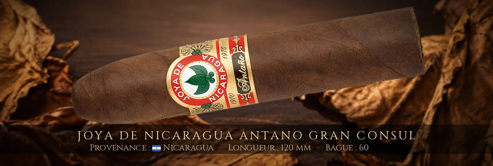 Joya de Nicaragua Antano Gran Consul — Joya de Nicaragua — Nicaragua