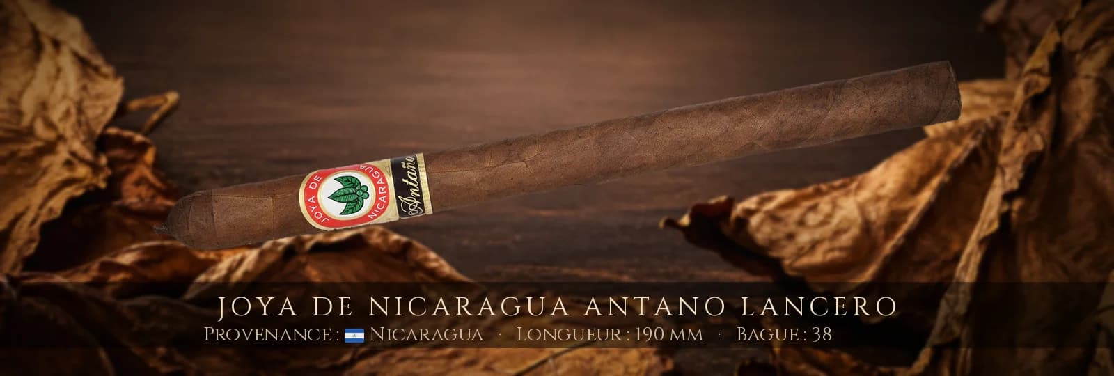 Joya de Nicaragua Antano Lancero — Joya de Nicaragua — Nicaragua