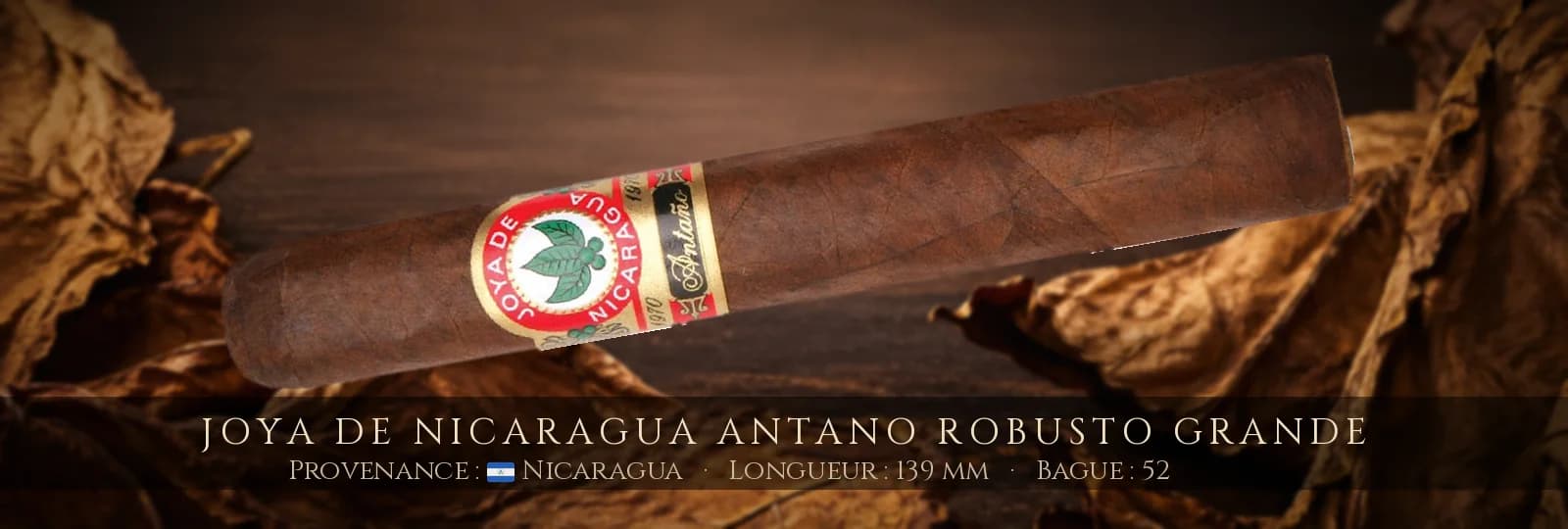 Joya de Nicaragua Antano Robusto Grande — Joya de Nicaragua — Nicaragua