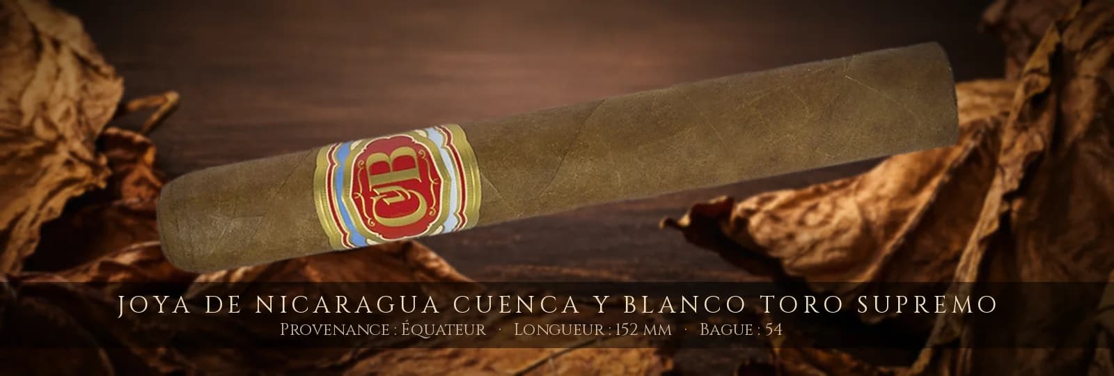 Joya de Nicaragua Cuenca y Blanco Toro Supremo — Joya de Nicaragua — Équateur