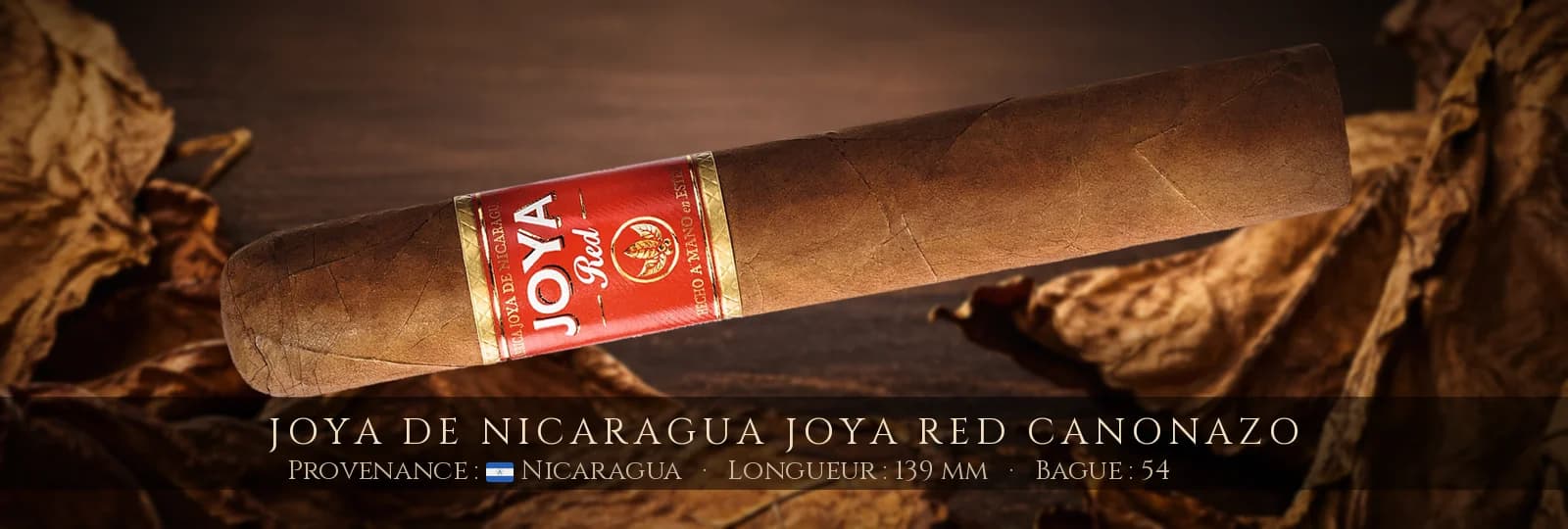 Joya de Nicaragua Joya Red Canonazo — Joya de Nicaragua — Nicaragua