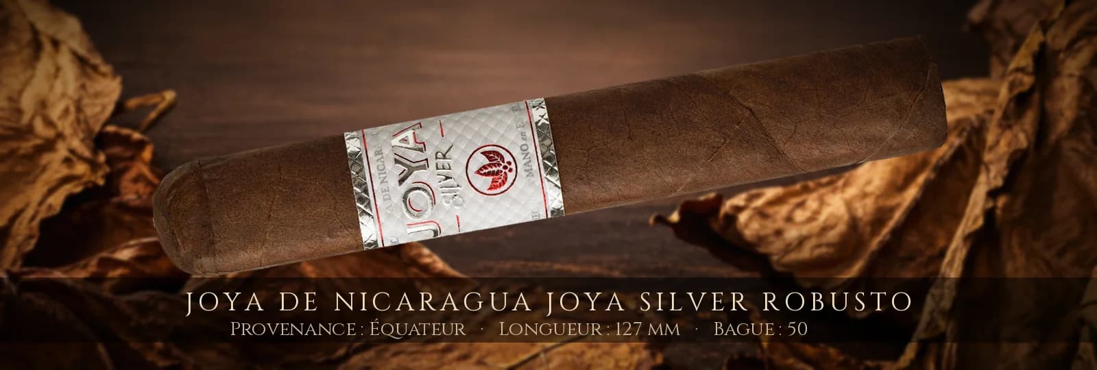 Joya de Nicaragua Joya Silver Robusto — Joya de Nicaragua — Équateur
