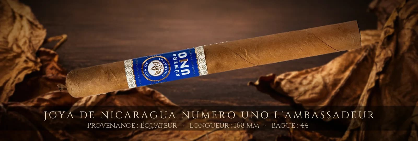 Joya de Nicaragua Numero Uno L'Ambassadeur — Joya de Nicaragua — Équateur