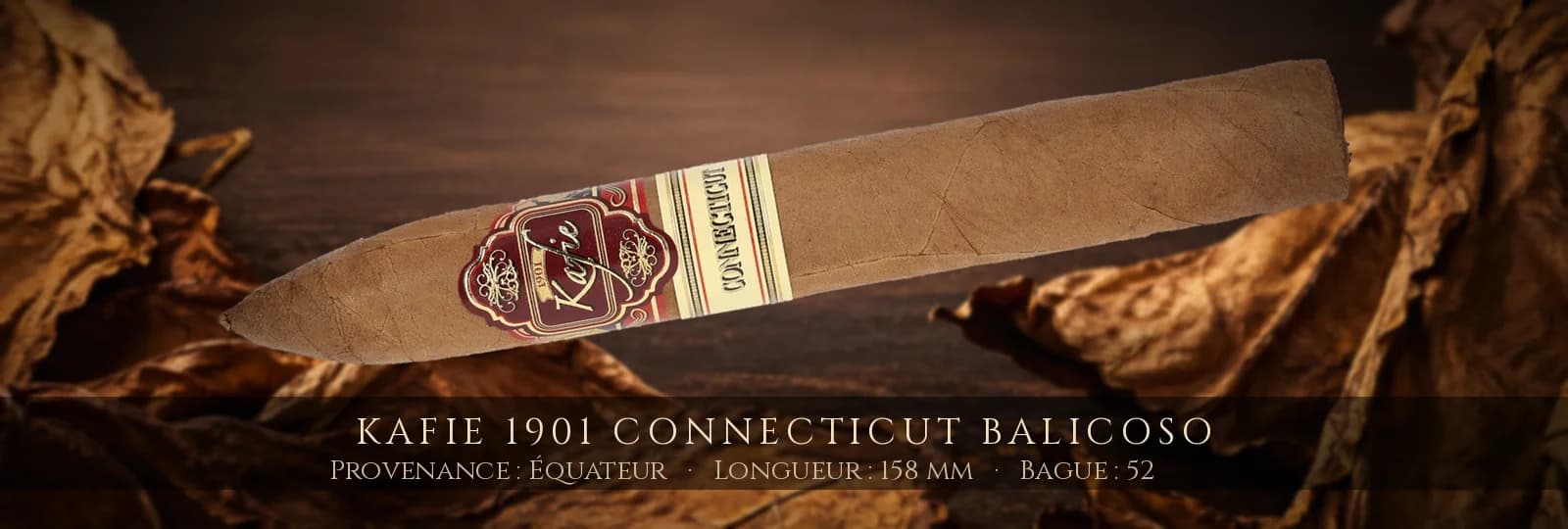 Kafie 1901 Connecticut Balicoso — Kafie 1901 — Équateur