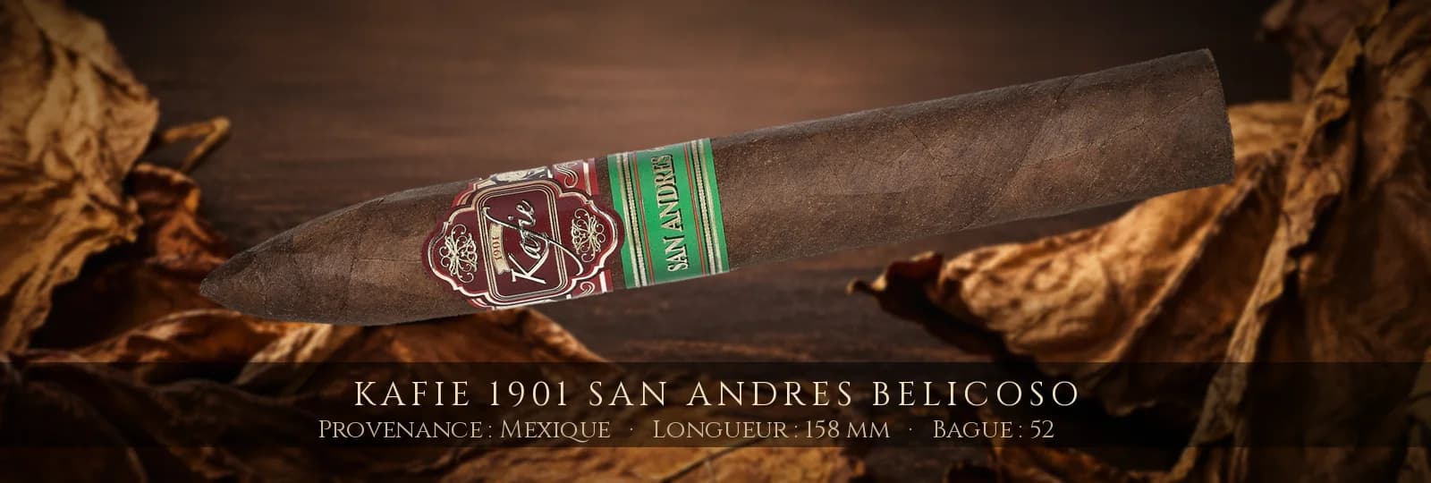 Kafie 1901 San Andres Belicoso — Kafie 1901 — Mexique