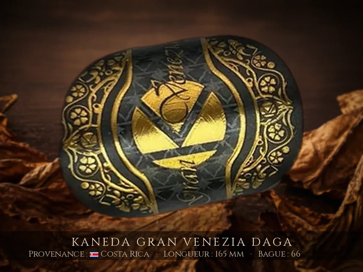 Kaneda Gran Venezia Daga — Kaneda — Costa Rica