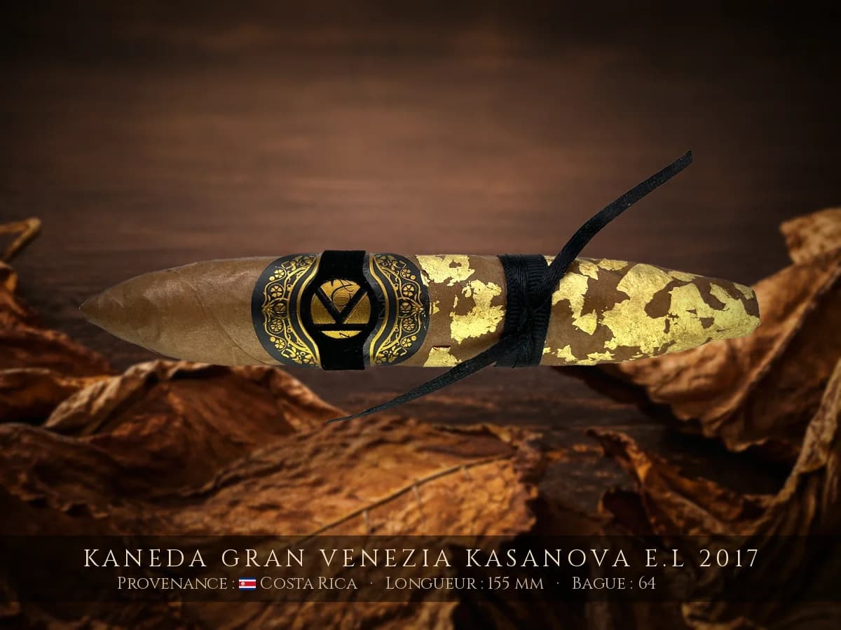 Kaneda Gran Venezia Kasanova E.L 2017 — Kaneda — Costa Rica