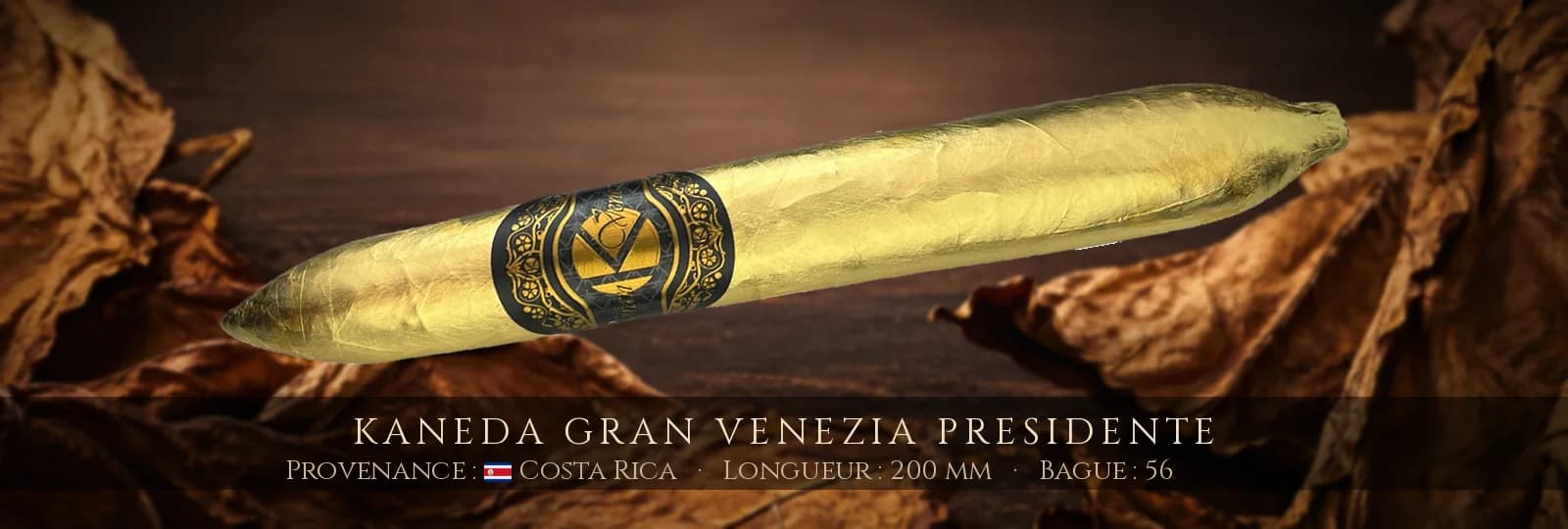 Kaneda Gran Venezia Presidente — Kaneda — Costa Rica