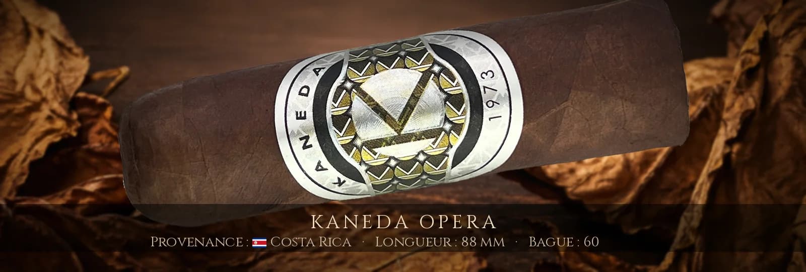 Kaneda Opera — Kaneda — Costa Rica