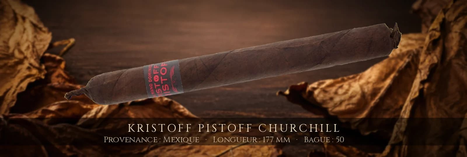 Kristoff Pistoff Churchill — Kristoff — Mexique