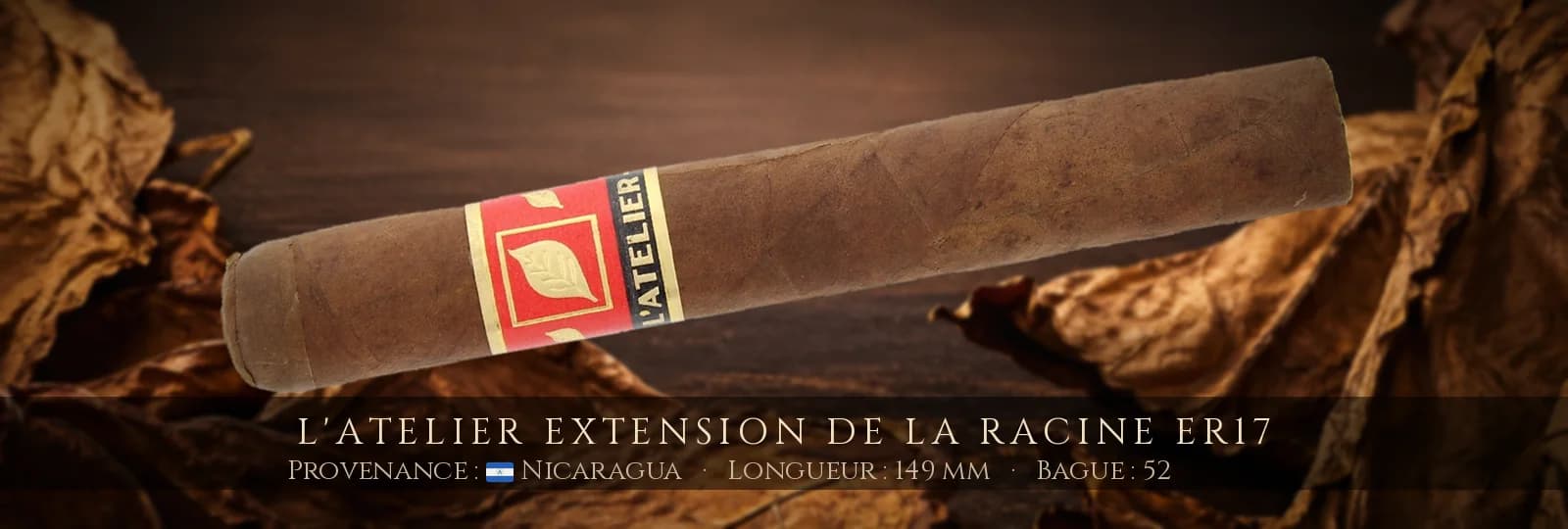 L'Atelier Extension de la Racine ER17 — L'Atelier — Nicaragua
