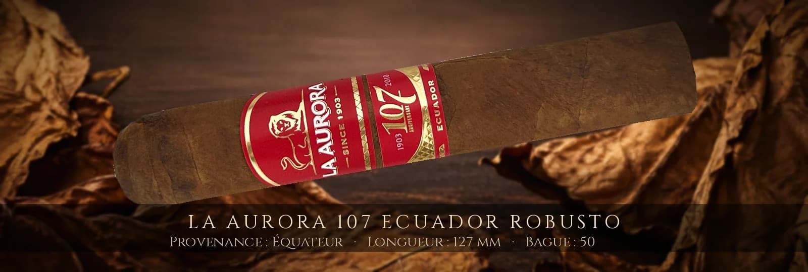 La Aurora 107 Ecuador Robusto — La Aurora — Équateur