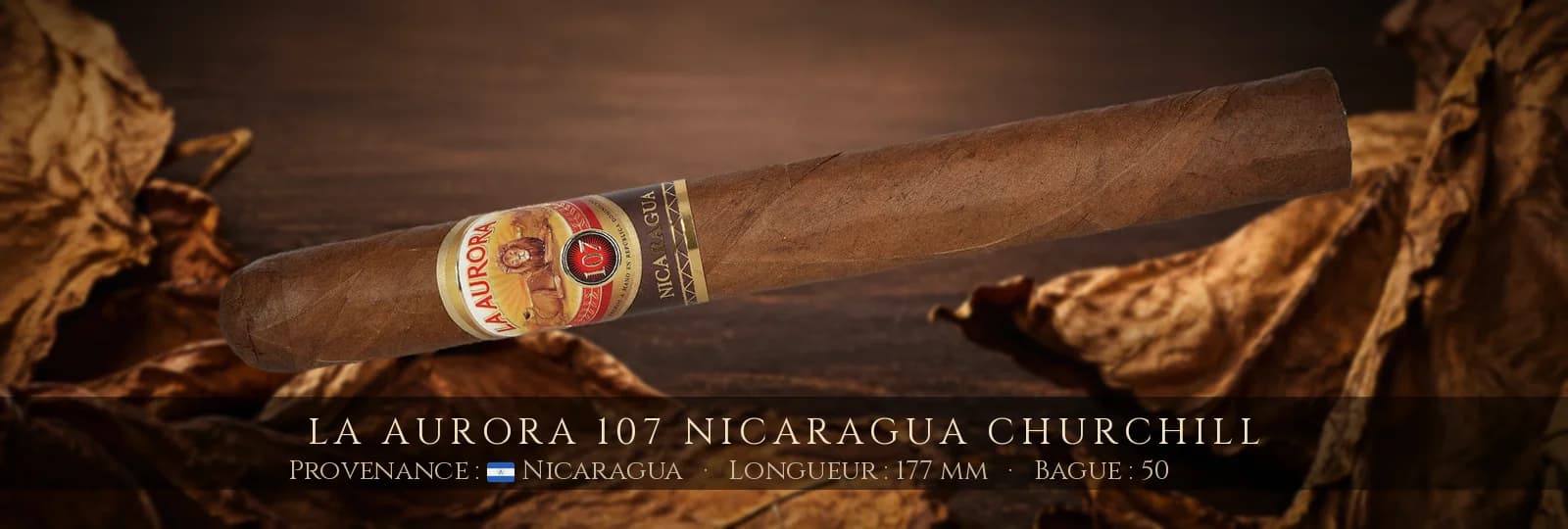 La Aurora 107 Nicaragua Churchill — La Aurora — Nicaragua