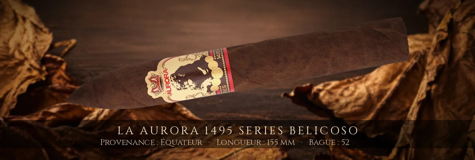 La Aurora 1495 Series Belicoso — La Aurora — Équateur