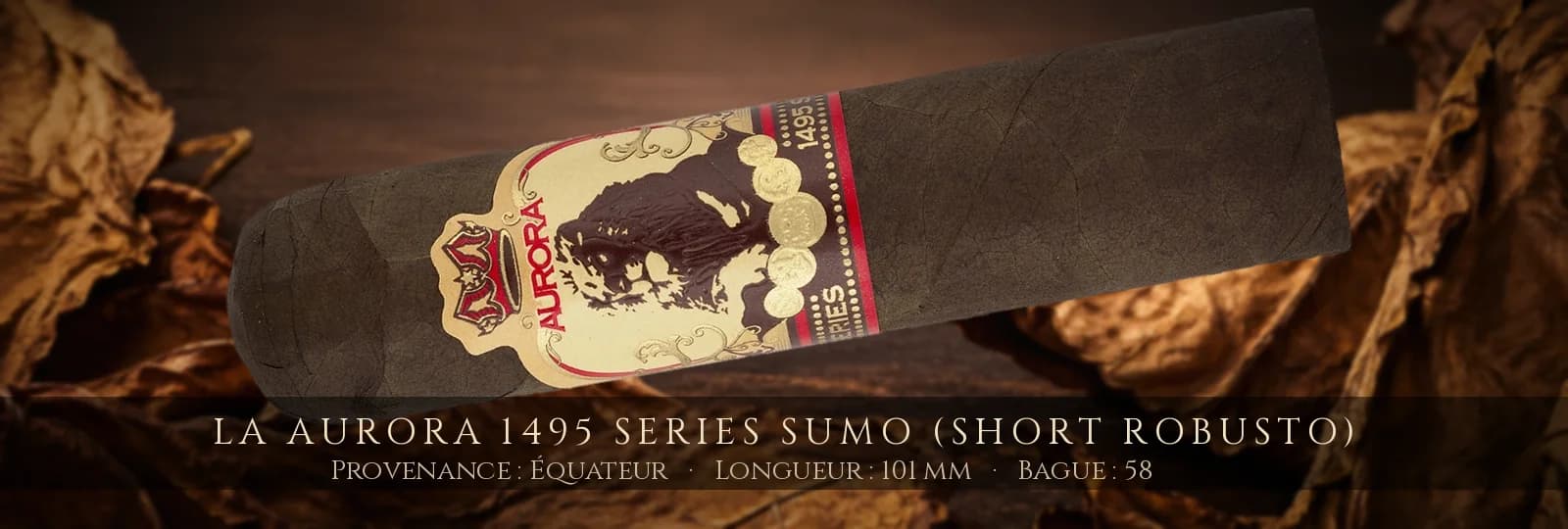 La Aurora 1495 Series Sumo (Short Robusto) — La Aurora — Équateur