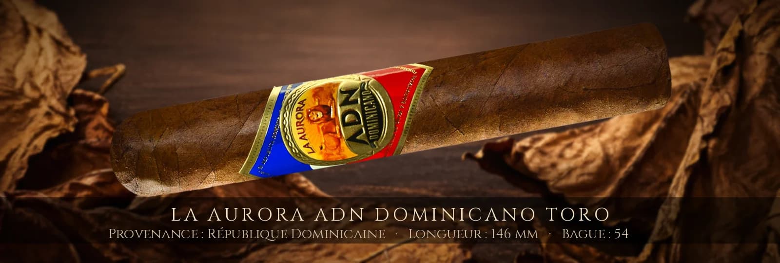 La Aurora ADN Dominicano Toro — La Aurora — République Dominicaine