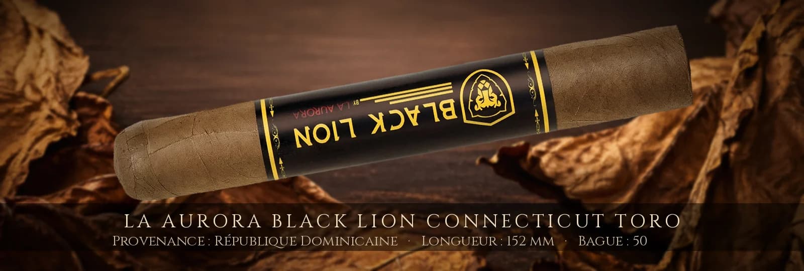 La Aurora Black Lion Connecticut Toro — La Aurora — République Dominicaine