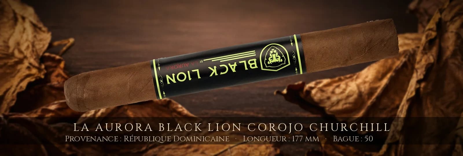 La Aurora Black Lion Corojo Churchill — La Aurora — République Dominicaine