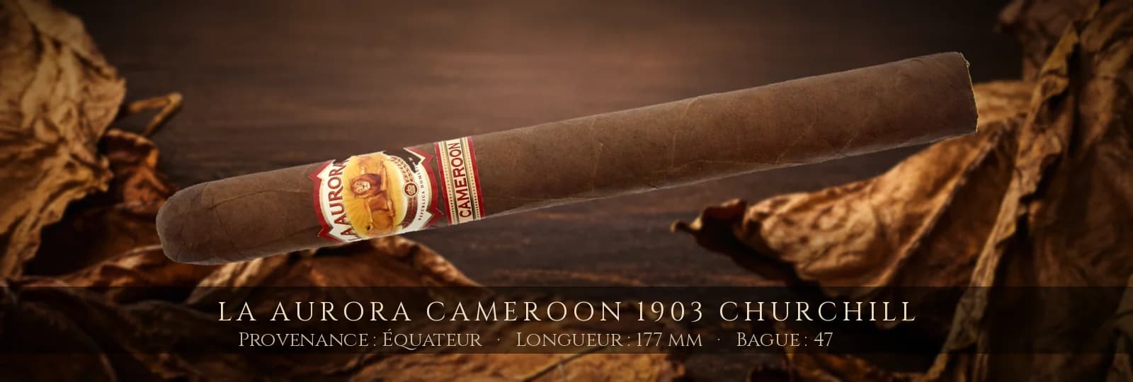 La Aurora Cameroon 1903 Churchill — La Aurora — Équateur
