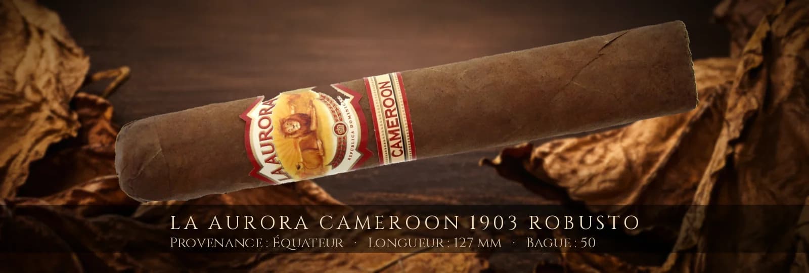 La Aurora Cameroon 1903 Robusto — La Aurora — Équateur